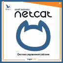 NetCat Small Business
